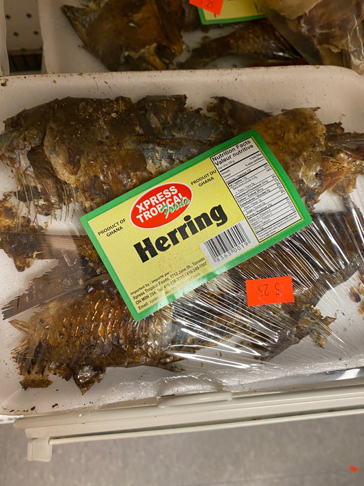 Herring Fish