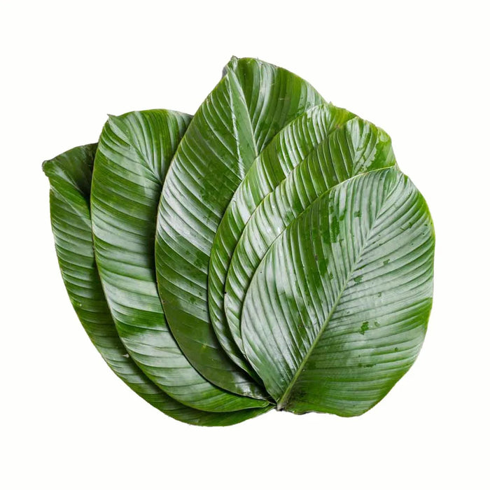 MoiMoi Leaves