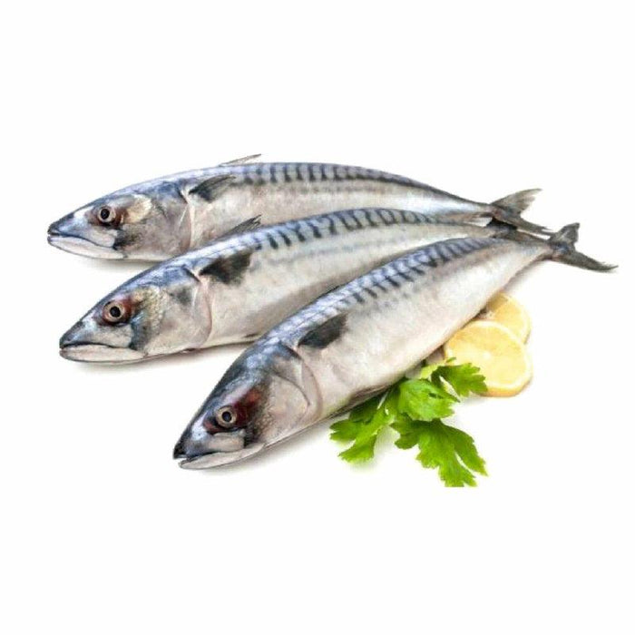 Frozen Mackerel - SMK African StoreSMK African Store#african_Caribbean_online_Groceries_store#