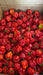 Scotch Bonnet Pack/Hot Pepper - SMK African StoreSMK African Store#african_Caribbean_online_Groceries_store#