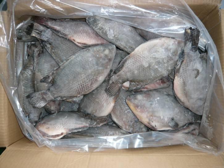 Tilapia Box 5Lb - SMK African StoreSMK African Store#african_Caribbean_online_Groceries_store#