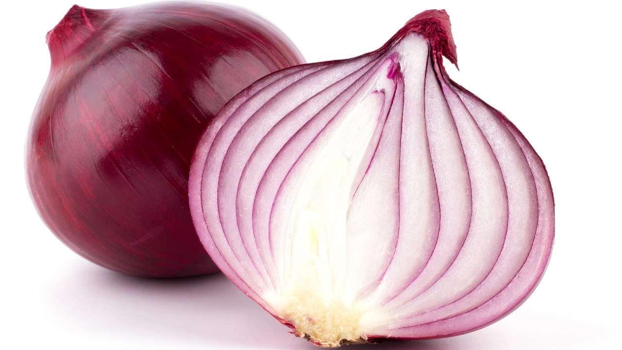 Onion- Pack