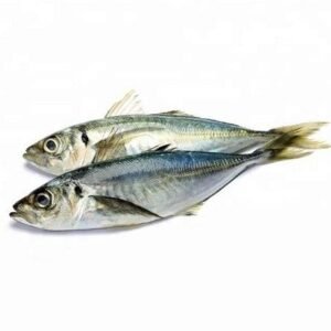 Horse Mackerel 7 Lb Box