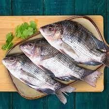 Tilapia Box 5Lb