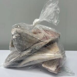 Croaker Fish
