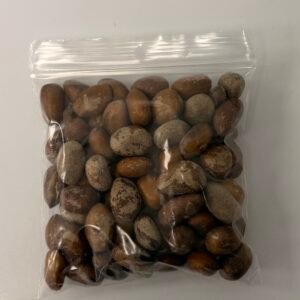 Ehuru African Nutmeg