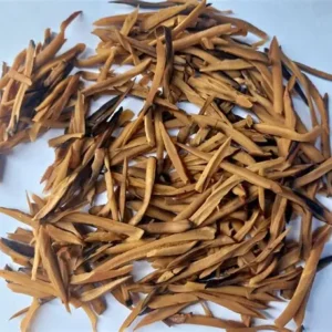 Ugba