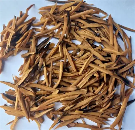 Ugba