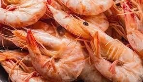 Crayfish (Cray Fish)