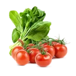 Fresh Produce