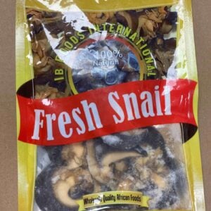 Frozen Snail