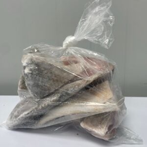 Croaker Fish