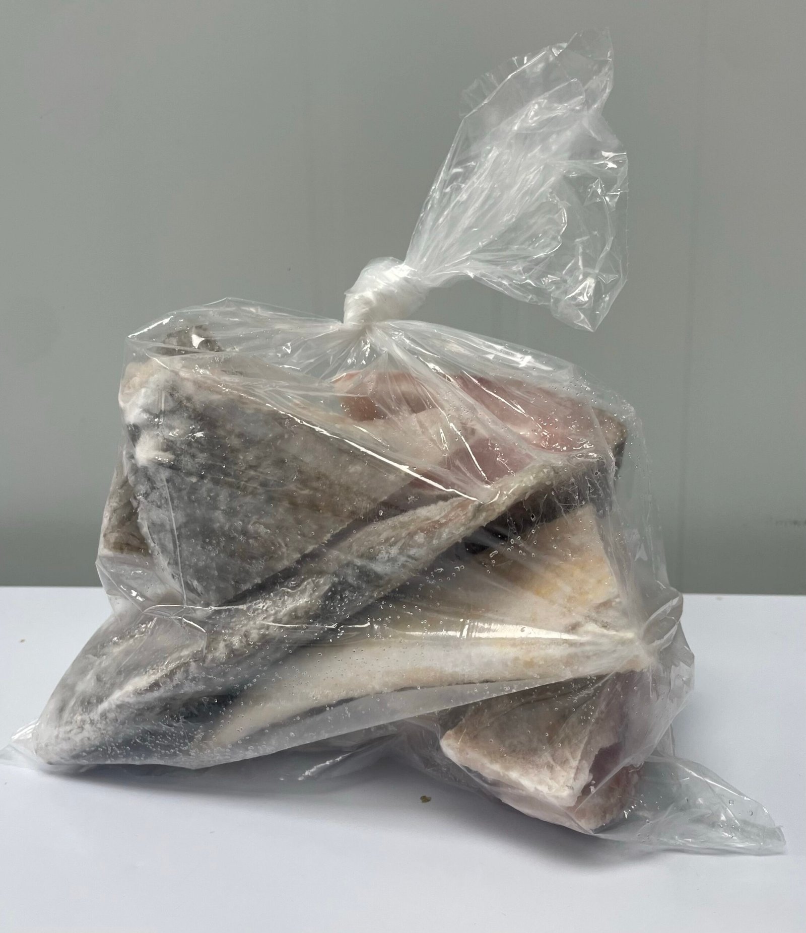 Croaker Fish