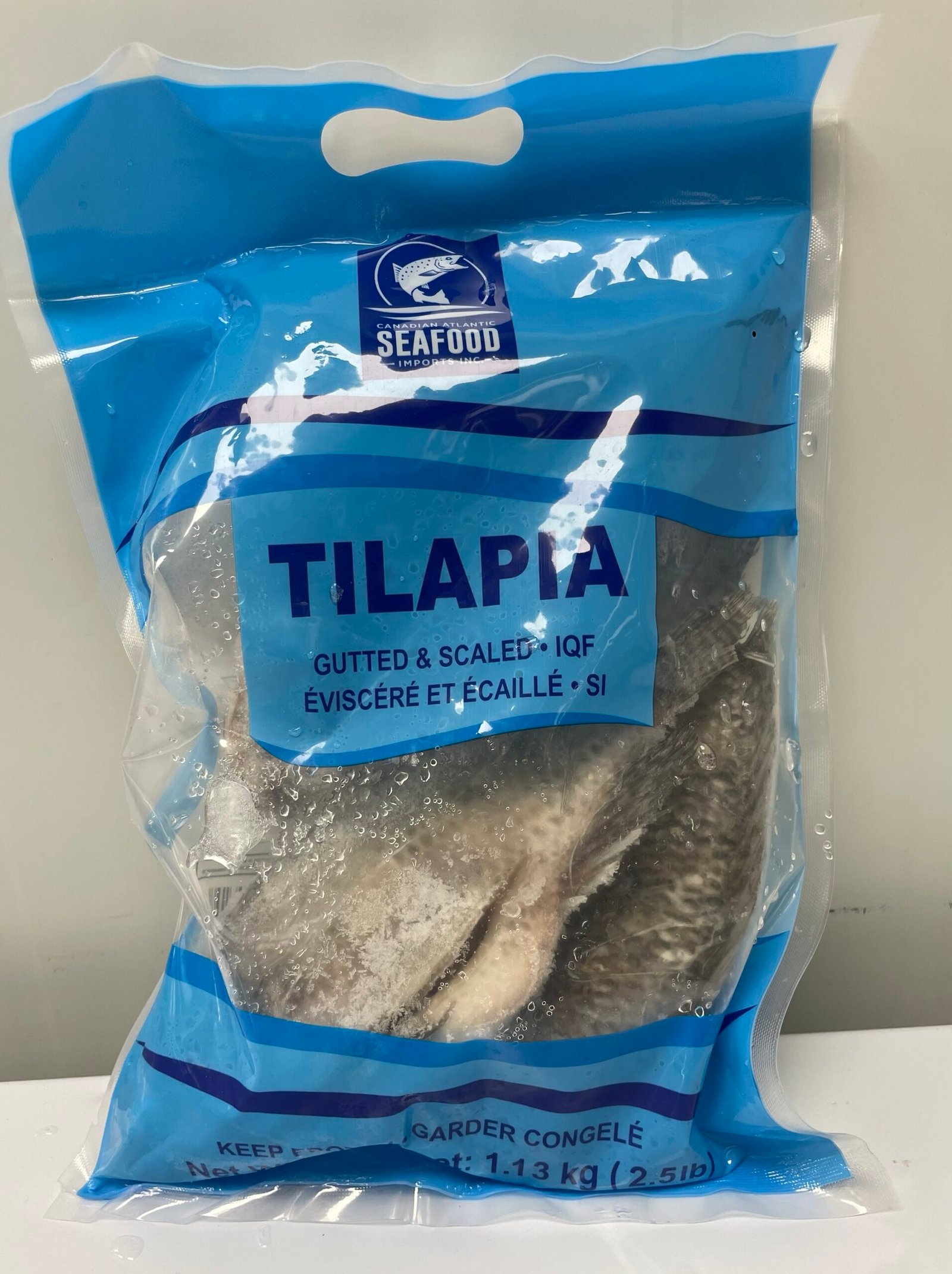 Tilapia
