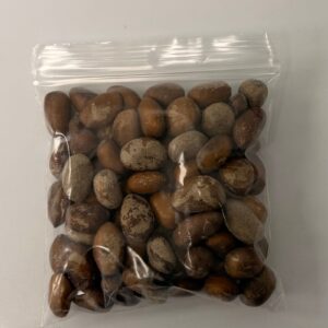 Nutmeg