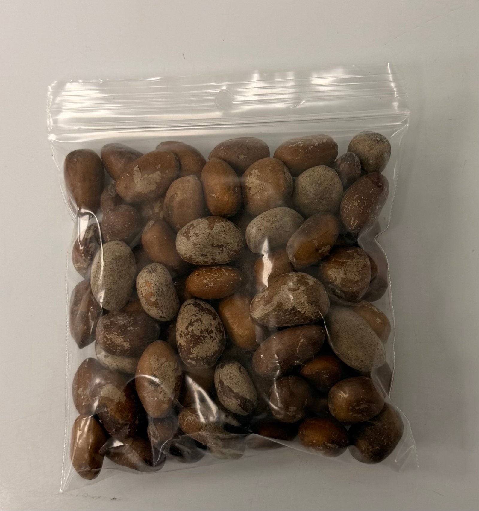 Ehuru African Nutmeg - Image 3