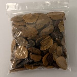 Abere Seed