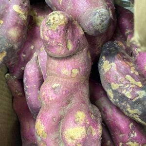 Purple Sweet Potatoes
