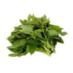 Vegetable/Leaf